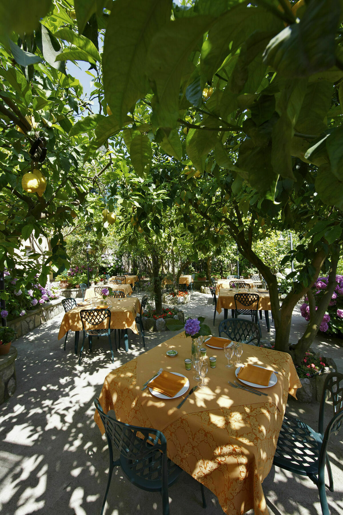 Agriturismo La Lobra Massa Lubrense Exterior photo